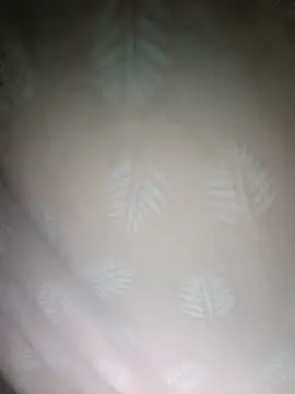 xxminou online show from 11/26/25, 12:33