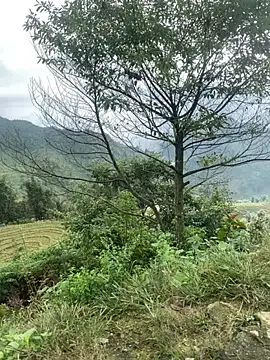 Snapshot of O_o_UwU_o_O chatting on 11/06/25, 02:01 O o UwU o O online show from 11/06/25, 02:01