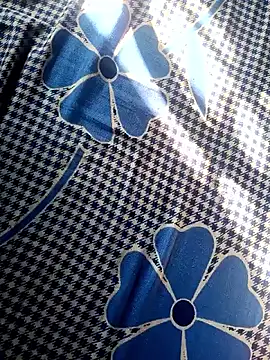 Renuka GG online show from 11/04/25, 03:16