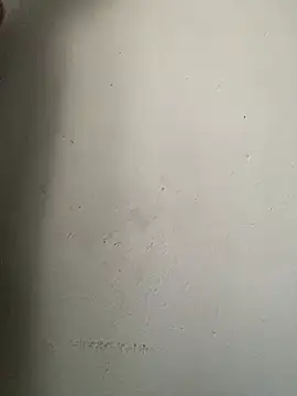 Dickssnake online show from 02/12/26, 09:26