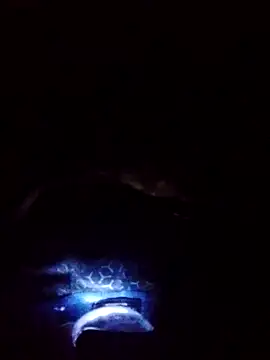 Snapshot of gostoso_delas_2 chatting on 09/17/25, 04:19 gostoso delas 2 online show from 09/17/25, 04:19