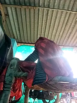 Hot-honi online show from 11/08/25, 09:42