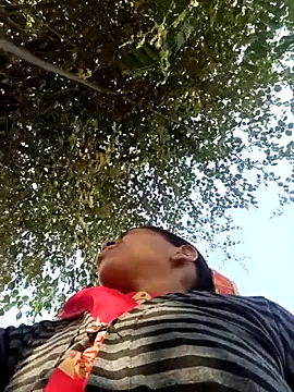 Hot-honi online show from 11/17/25, 09:37