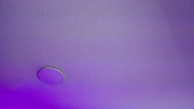  Charlotte Collins  online show from 02/21/26, 03:13