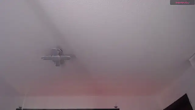  Charlotte Collins  online show from 03/22/26, 02:20