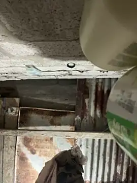 Snapshot of SaraBust chatting on 04/07/26, 04:24 SaraBust online show from 04/07/26, 04:24