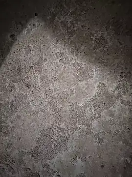 sexy  girls98 online show from 02/06/26, 11:46