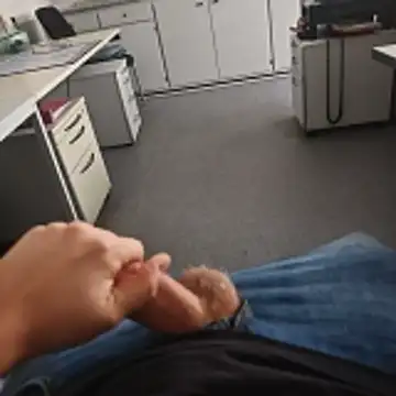 stunning stallion online show from 11/16/25, 11:16