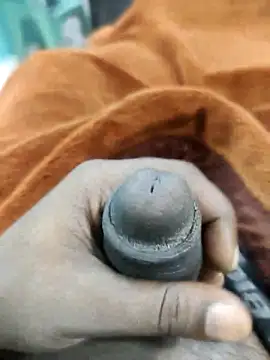 Yourminal online show from 09/16/25, 07:48