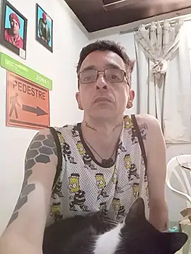 dinho carioca online show from 11/29/25, 03:15