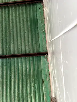 Snapshot of Isabella-2709 chatting on 10/25/25, 06:13 Isabella-2709 online show from 10/25/25, 06:13