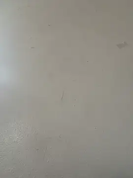 Snapshot of diamondunleashes chatting on 04/20/26, 08:43 diamondunleashes online show from 04/20/26, 08:43