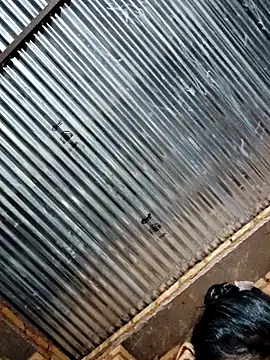 Pooja750 online show from 03/11/26, 04:57