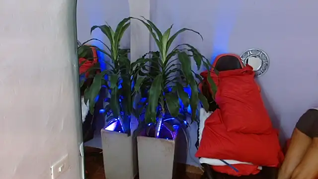 ivy scorpio online show from 10/15/25, 05:51