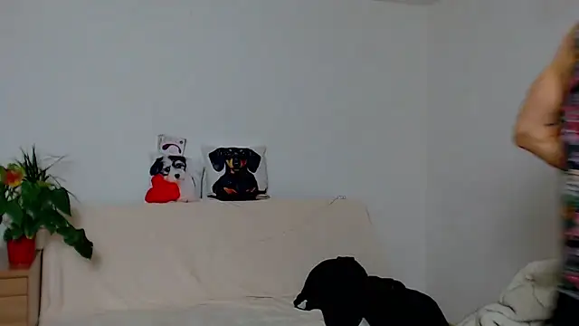 ZeinMiracles online show from 11/29/25, 08:23