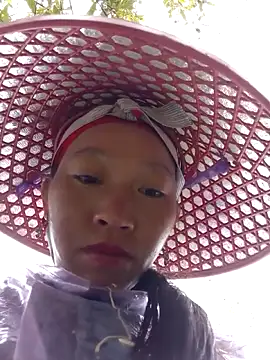 tcm-cute online show from 11/10/25, 01:59