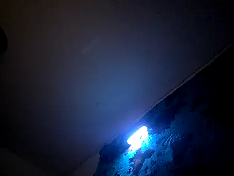 Bigdickdavis6969 online show from 02/15/26, 02:58