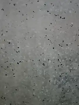 Mr xxx007xh online show from 03/01/26, 01:18