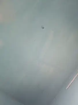 xyz-indian online show from 10/05/25, 10:02