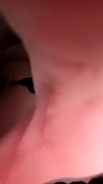 Yananamck online show from 10/29/25, 10:17