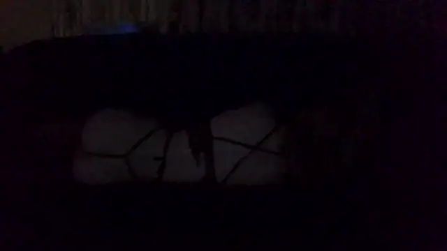 Snapshot of Rupoles chatting on 11/01/25, 01:13 Rupoles online show from 11/01/25, 01:13