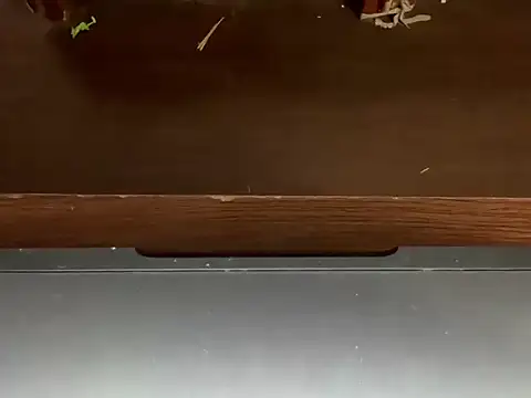 Snapshot of LustyDuoSecrets chatting on 04/21/26, 04:45 LustyDuoSecrets online show from 04/21/26, 04:45