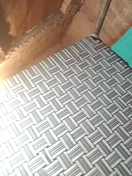 sadhna200 online show from 11/29/25, 10:24