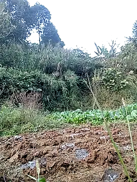 hera-00 online show from 11/24/25, 08:58