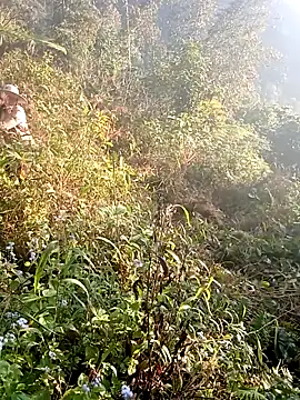 hera-00 online show from 12/19/25, 01:12