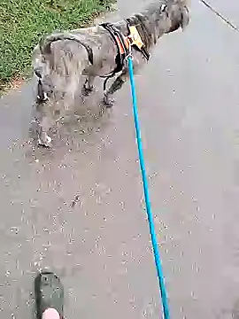 Unknownstepbrother online show from 10/05/25, 07:56