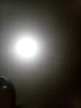 Bebicho14 online show from 03/17/26, 04:17