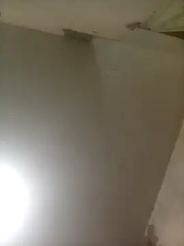 Bebicho14 online show from 04/03/26, 01:58