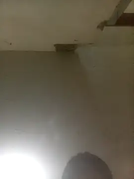 Bebicho14 online show from 04/04/26, 05:49