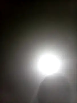 Bebicho14 online show from 04/05/26, 04:42