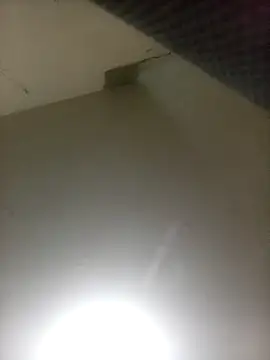 Bebicho14 online show from 04/07/26, 02:56