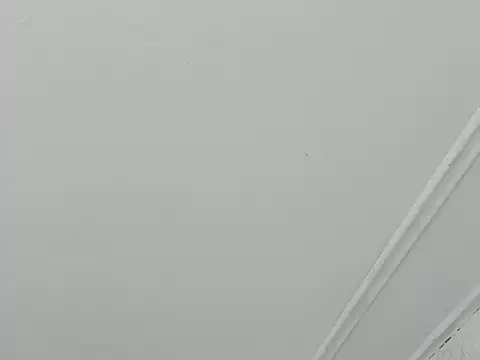 paull george online show from 11/28/25, 05:48