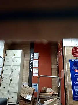 Dropdingo online show from 10/31/25, 03:57