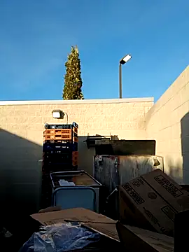 Dropdingo online show from 11/11/25, 01:33