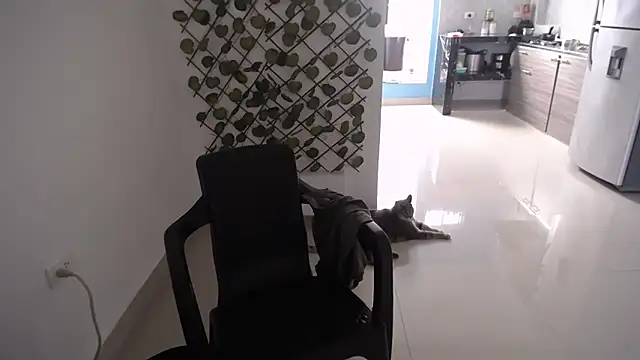 yohacriss online show from 12/16/25, 08:36