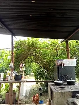 AlphaAlterX online show from 03/11/26, 06:14