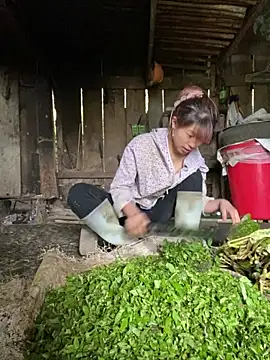 Mai bb online show from 11/06/25, 07:42