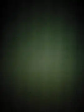 hilaouslee online show from 10/31/25, 11:11