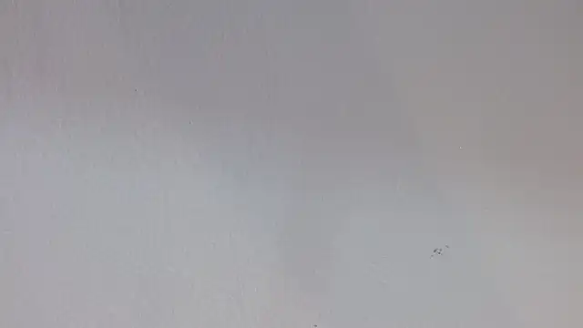 kiity horny  online show from 09/30/25, 12:54