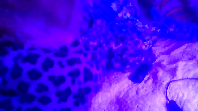 Snapshot of prettymaa chatting on 02/19/26, 06:53 prettymaa online show from 02/19/26, 06:53