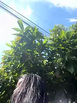 Sophie Dreamss online show from 10/03/25, 07:33