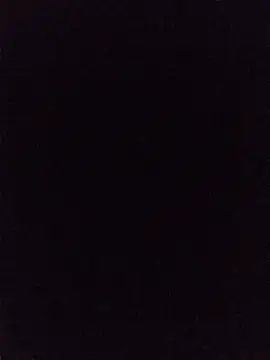 Snapshot of hairy_mannn chatting on 06/29/26, 12:50 hairy mannn online show from 06/29/26, 12:50