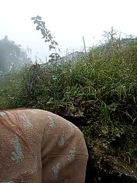 Snapshot of may-squirl chatting on 10/24/25, 01:35 may-squirl online show from 10/24/25, 01:35