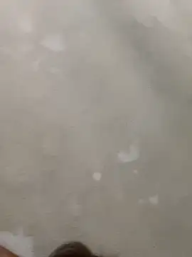 Doggy8668 online show from 03/03/26, 07:42