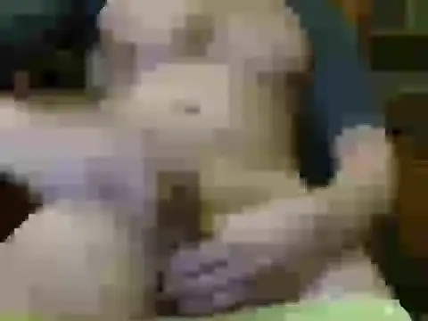 Snapshot of italian_max_sex chatting on 11/21/25, 11:25 italian max sex online show from 11/21/25, 11:25