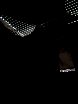 Snapshot of Gustavo1135e chatting on 10/13/25, 11:10 Gustavo1135e online show from 10/13/25, 11:10